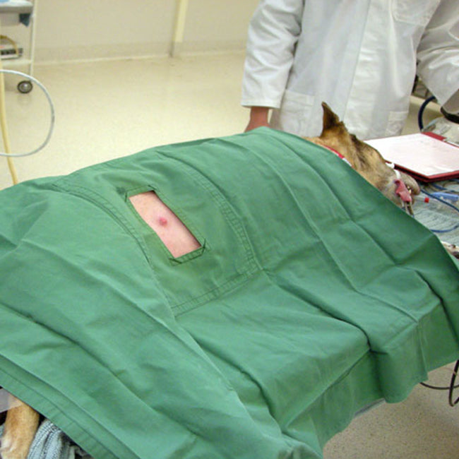 Non-Sterile Plastic Drape (Various Types)