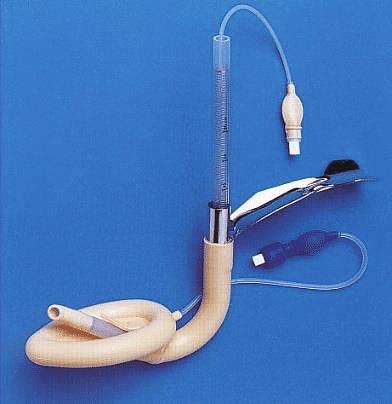 auto-image-auto-product-50368287-laryngeal-mask-lma-size-5-box-of-15