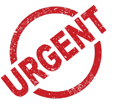 URGENT - Must be ordered by 08/09/2025