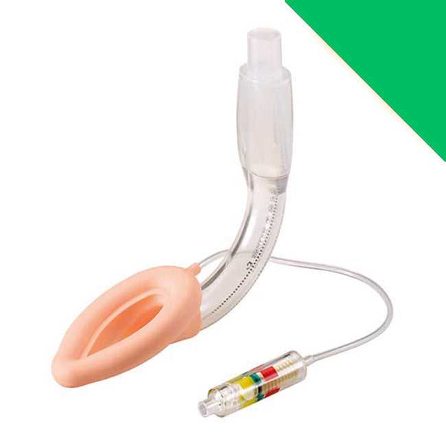 Laryngeal Mask (LMA) Various Sizes