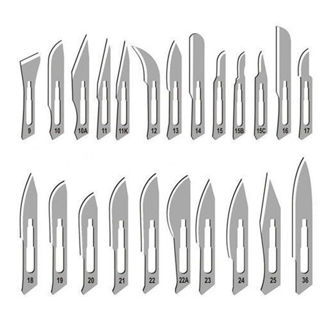 Scalpel Blades (Assorted Sizes) - Box of 100